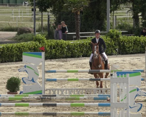 Reitturnier Bornheim-Widdig 2022