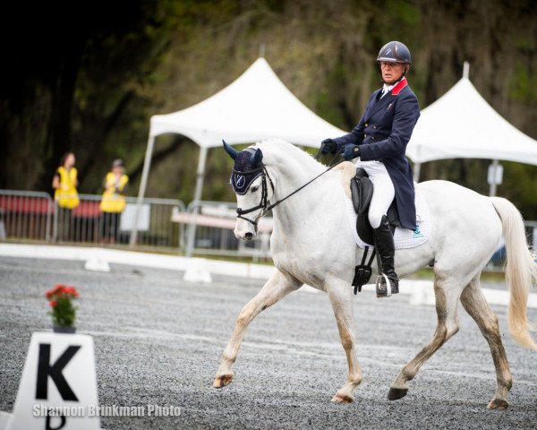 horse Fupsilon Grande Lande (Selle Français, 2015, from Upsilon AA)
