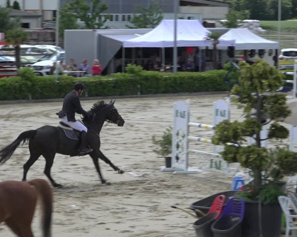 Reitturnier Bornheim-Widdig 2022