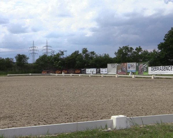 Reitturnier Münster, St. Georg | Late Entry 2022