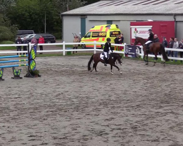 Springturnier Mildstedt 2021