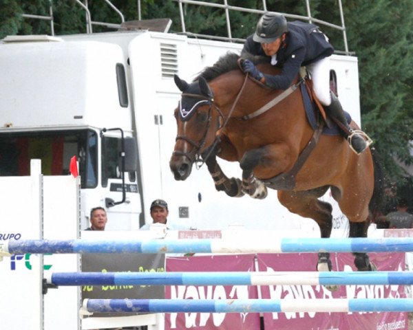 jumper Viking de Beliard (Anglo-Arabs, 2009, from Lux Z)