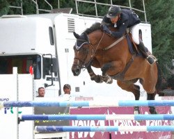 jumper Viking de Beliard (Anglo-Arabs, 2009, from Lux Z)