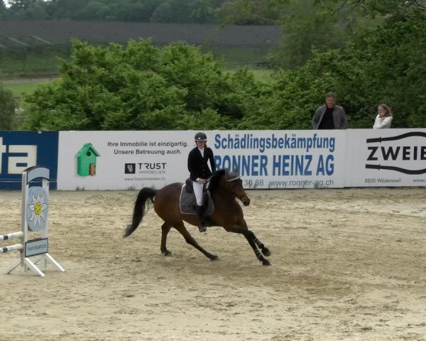 Reitturnier Wädenswil 2022
