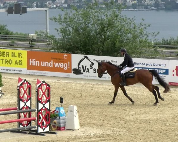 Reitturnier Wädenswil 2022