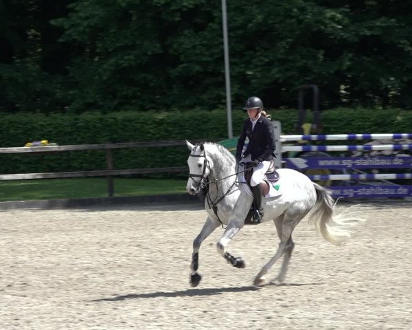 Reitturnier Klein Roscharden 2022