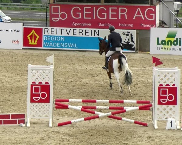 Reitturnier Wädenswil 2022