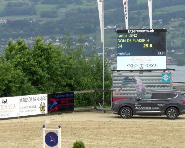 Reitturnier Wädenswil 2022
