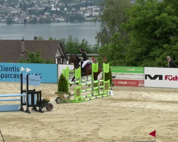 Reitturnier Wädenswil 2022