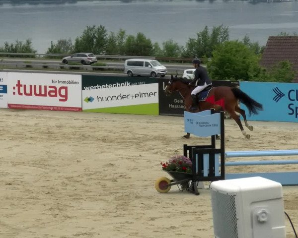 Reitturnier Wädenswil 2022