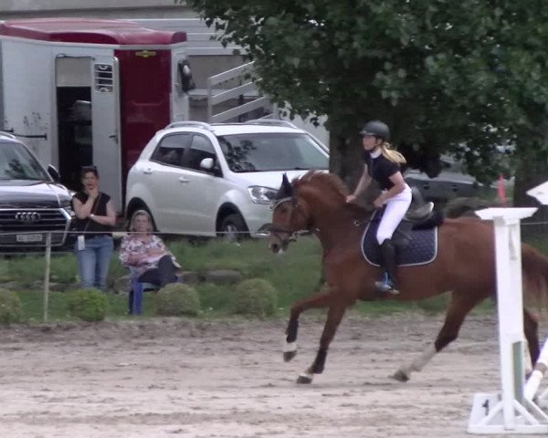 Reitturnier Basel Schänzli 2022