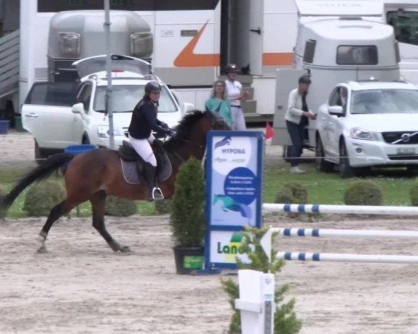 Reitturnier Basel Schänzli 2022