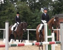 dressage horse Lanciano 70 (Bavarian, 2003, from Landor S)