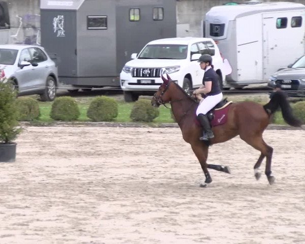 Reitturnier Basel Schänzli 2022