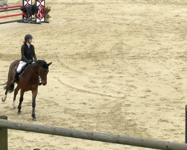 Reitturnier Wädenswil 2022