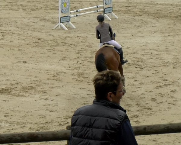 Reitturnier Wädenswil 2022