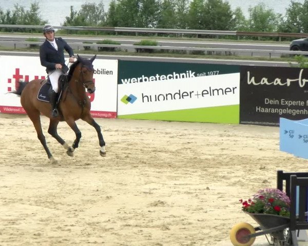 Reitturnier Wädenswil 2022