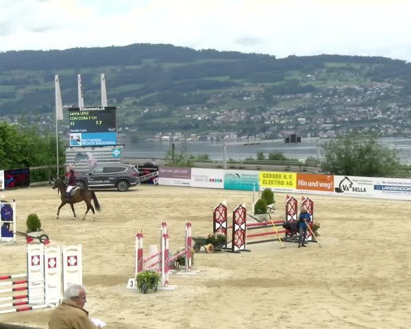 Reitturnier Wädenswil 2022