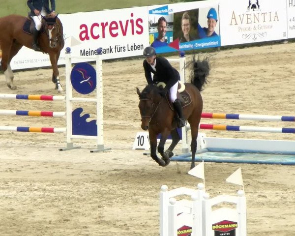 Reitturnier Wädenswil 2022