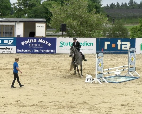 Reitturnier Wädenswil 2022