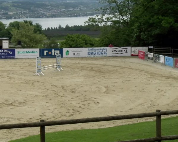 Reitturnier Wädenswil 2022