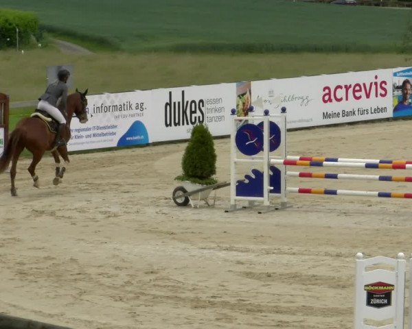 Reitturnier Wädenswil 2022