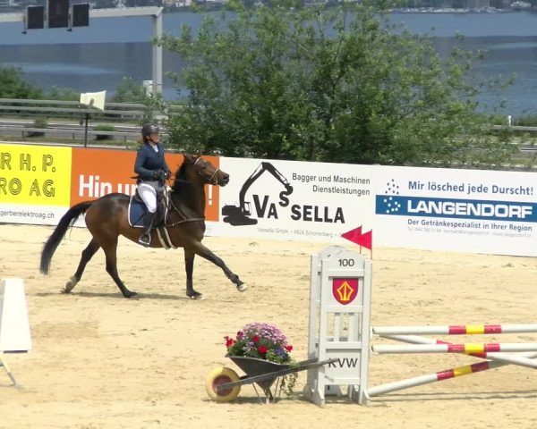 Reitturnier Wädenswil 2022