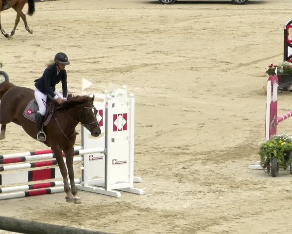Reitturnier Wädenswil 2022