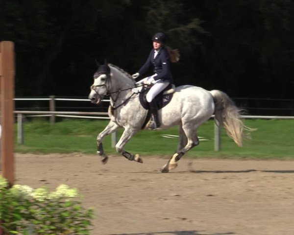 Reitturnier Haltern am See 2021