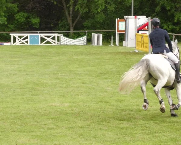 Reitturnier Leingarten 2022