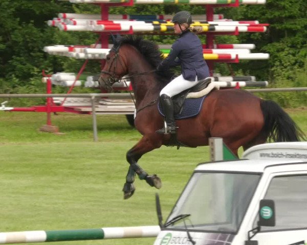 Reitturnier Leingarten 2022