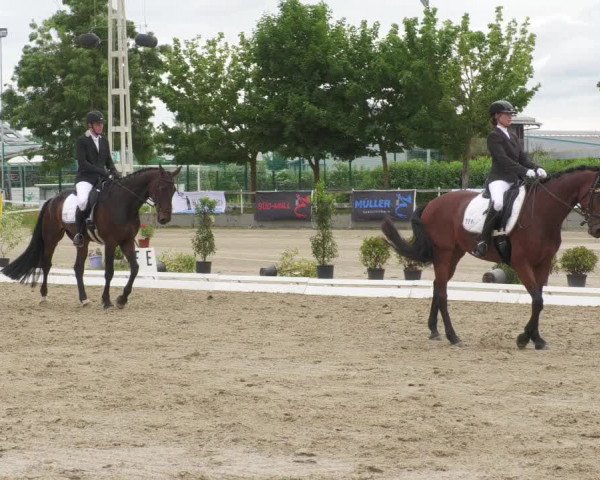 Reitturnier Billigheim 2022