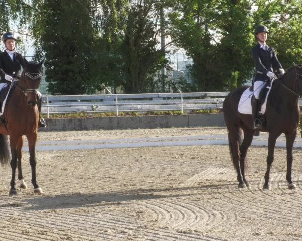 Reitturnier Billigheim 2022