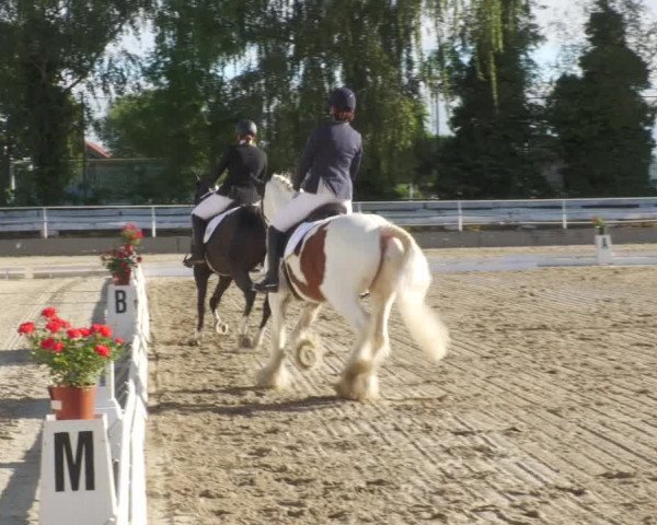 Reitturnier Billigheim 2022