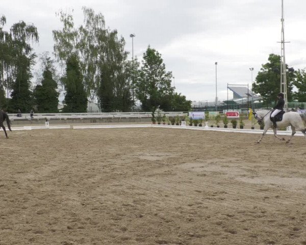 Reitturnier Billigheim 2022