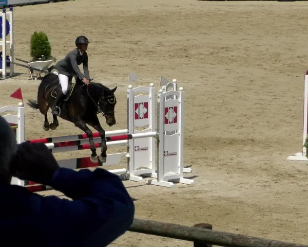 Reitturnier Wädenswil 2022