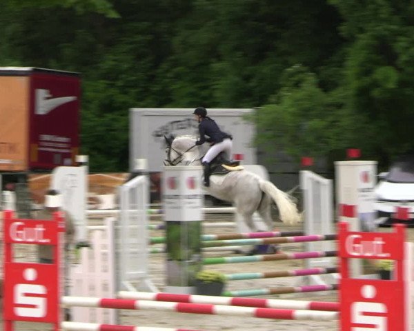 Reitturnier Hellefeld 2022