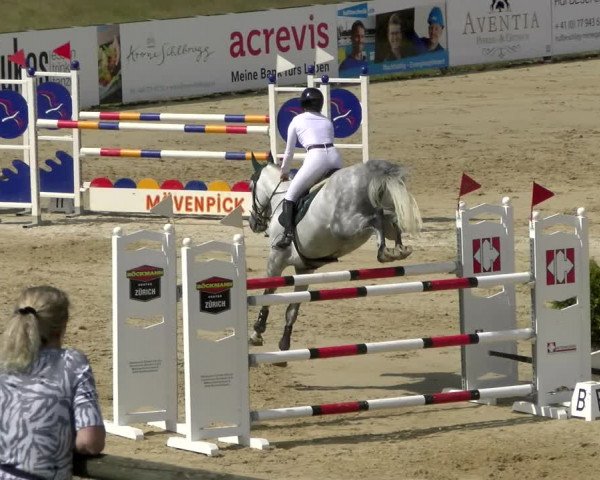 Reitturnier Wädenswil 2022