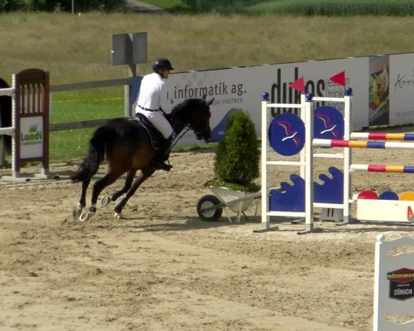 Reitturnier Wädenswil 2022