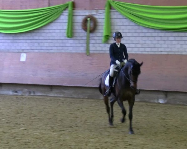 Reitturnier Hellefeld 2022