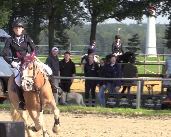 Reitturnier Haltern am See 2021