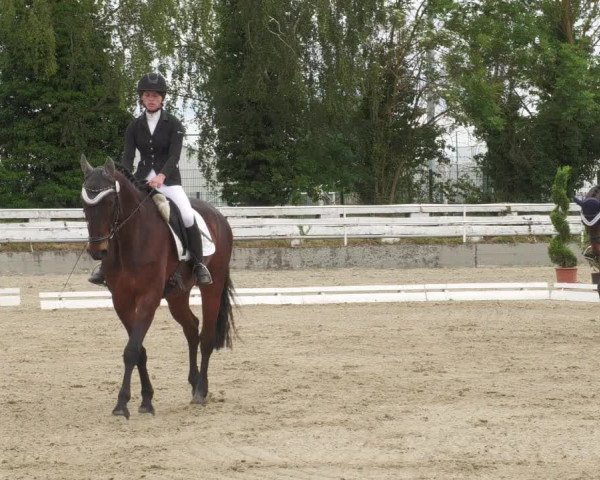 Reitturnier Billigheim 2022
