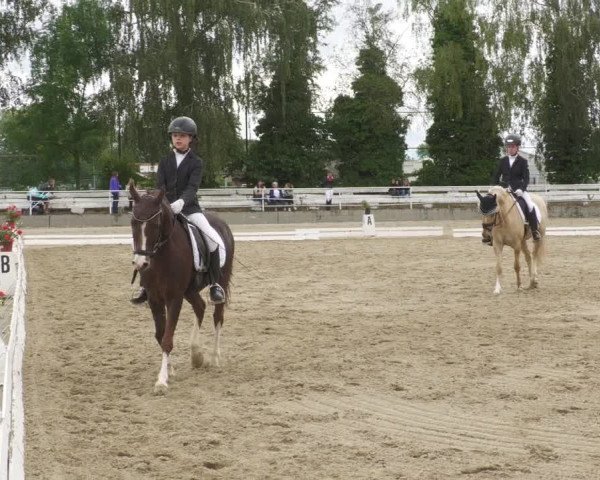 Reitturnier Billigheim 2022