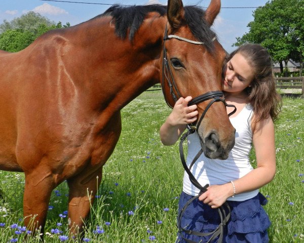 Dressurpferd Richetto (Westfale, 2006, von Riccio)