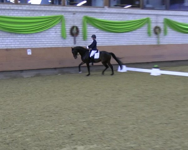 Reitturnier Hellefeld 2022