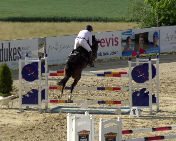 Reitturnier Wädenswil 2022