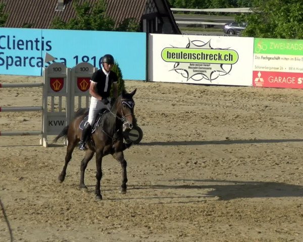 Reitturnier Wädenswil 2022
