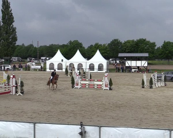 Reitturnier Hamm-Rhynern 2022