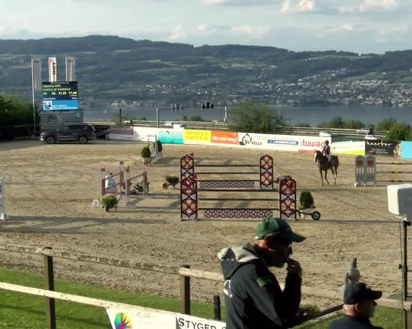 Reitturnier Wädenswil 2022