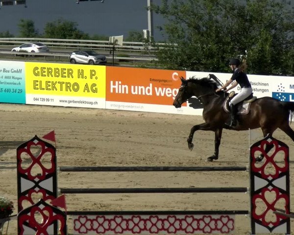 Reitturnier Wädenswil 2022